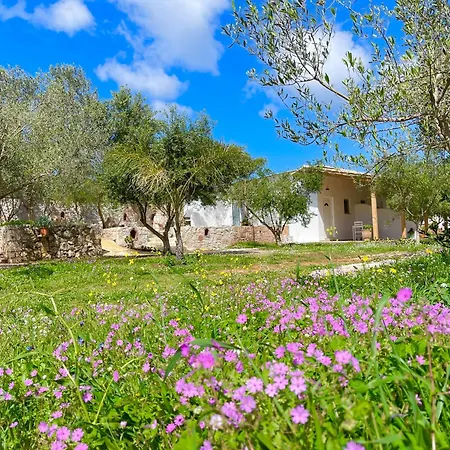 Bed & Breakfast Rida Village Island