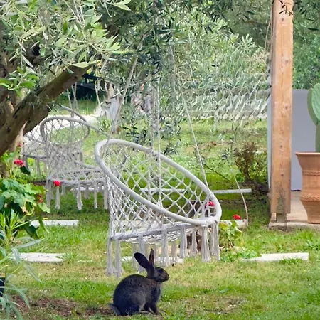 Rida Village Island Ksamil