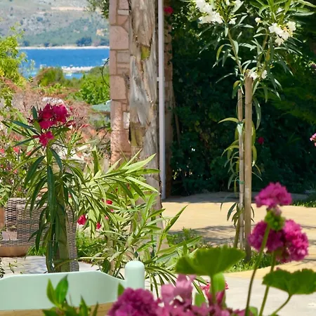 Rida Village Island Bed & Breakfast 4*