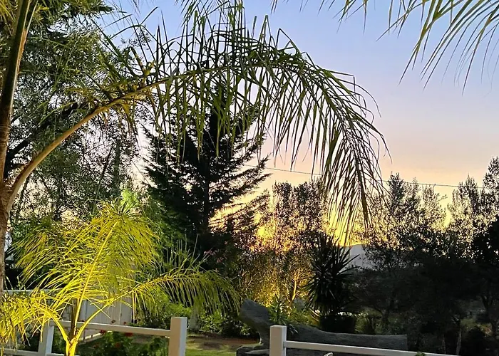 Rida Village Island 卡萨米尔