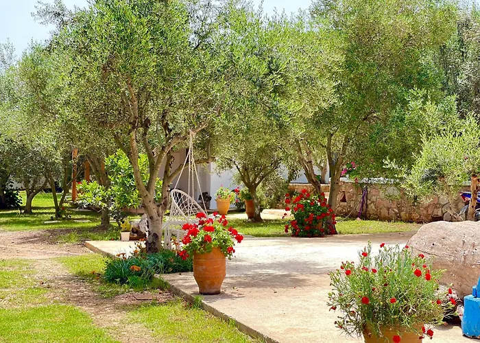 Rida Village Island 4*