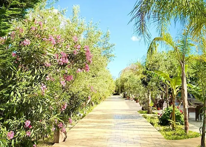 Rida Village Island