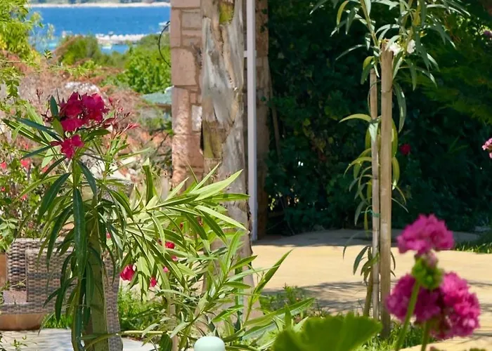 Rida Village Island 住宿加早餐酒店 3*