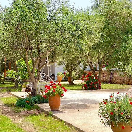 Rida Village Island 4*