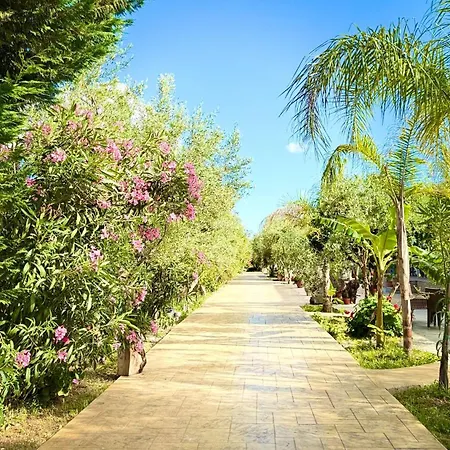 Rida Village Island