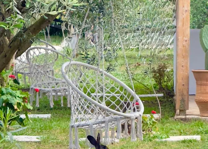 Rida Village Island 卡萨米尔